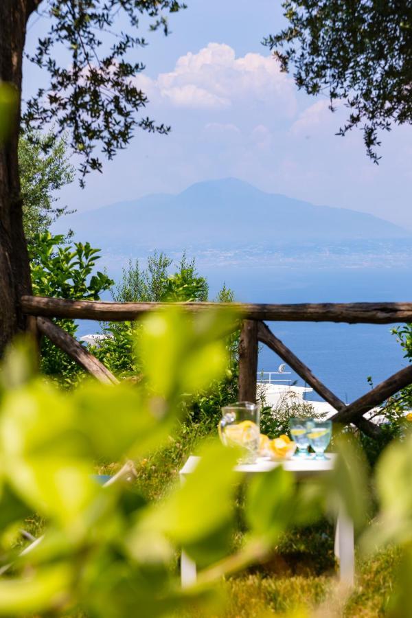 Villa Ada Sorrento Exterior photo