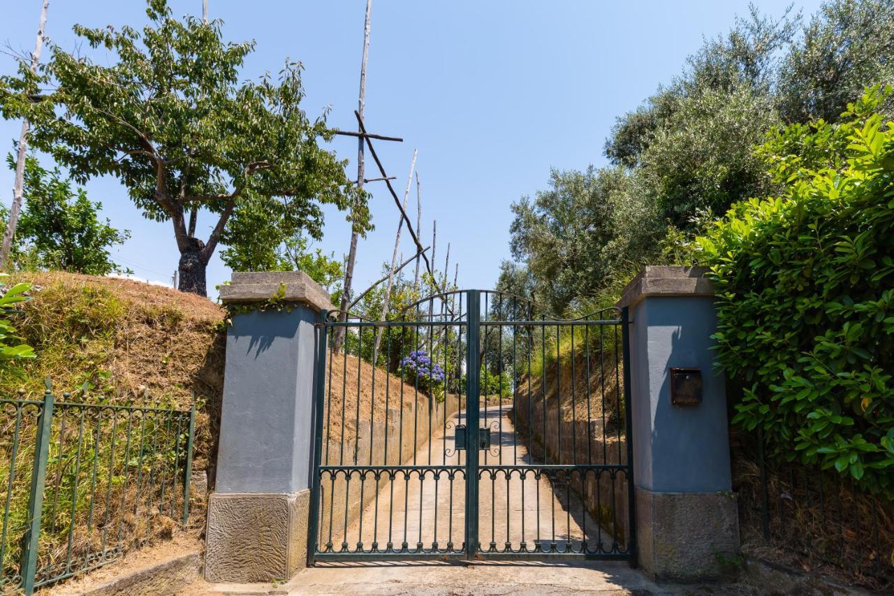 Villa Ada Sorrento Exterior photo